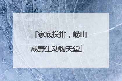 家底摸排，崂山成野生动物天堂