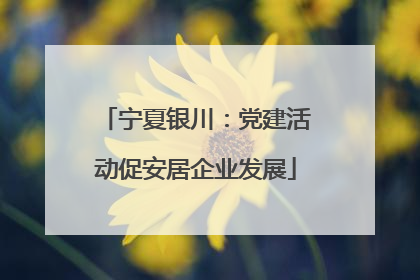 宁夏银川：党建活动促安居企业发展