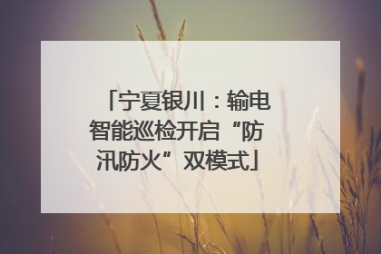 宁夏银川：输电智能巡检开启“防汛防火”双模式