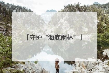 守护“海底雨林”