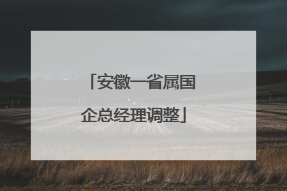 安徽一省属国企总经理调整
