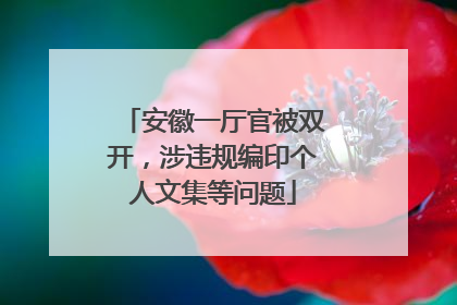安徽一厅官被双开，涉违规编印个人文集等问题
