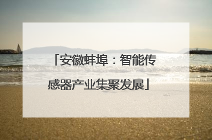 安徽蚌埠：智能传感器产业集聚发展