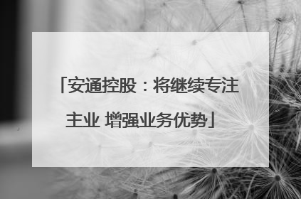 安通控股：将继续专注主业 增强业务优势