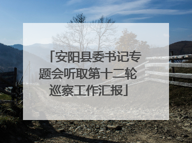 安阳县委书记专题会听取第十二轮巡察工作汇报
