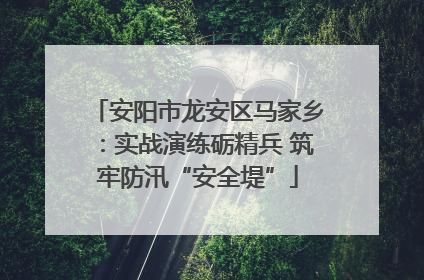 安阳市龙安区马家乡：实战演练砺精兵 筑牢防汛“安全堤”
