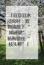 宜章县水浸窝村：双物流按下“加速键” 杨梅锁住“枝头鲜”