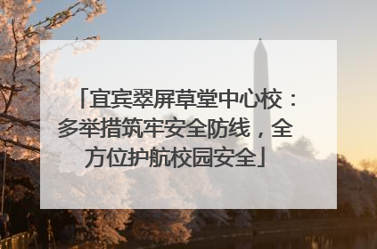 宜宾翠屏草堂中心校：多举措筑牢安全防线，全方位护航校园安全