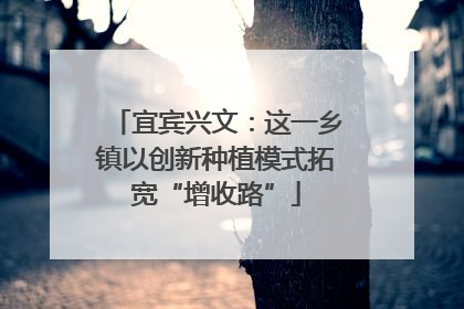 宜宾兴文：这一乡镇以创新种植模式拓宽“增收路”