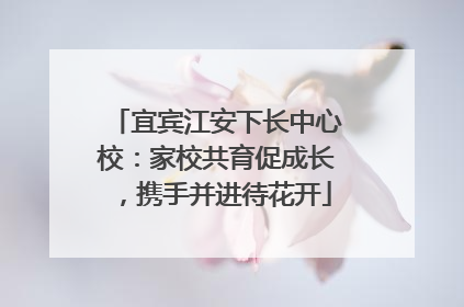 宜宾江安下长中心校：家校共育促成长，携手并进待花开