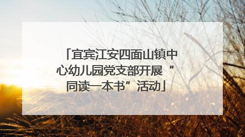 宜宾江安四面山镇中心幼儿园党支部开展“同读一本书”活动
