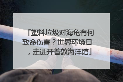 塑料垃圾对海龟有何致命伤害？世界环境日，走进开普敦海洋馆