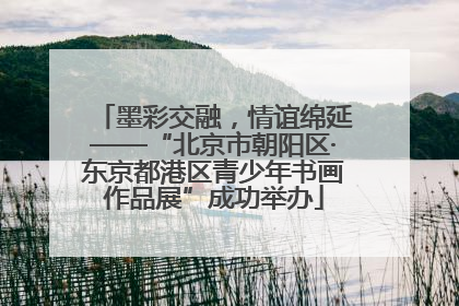 墨彩交融，情谊绵延——“北京市朝阳区·东京都港区青少年书画作品展”成功举办
