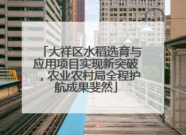 大祥区水稻选育与应用项目实现新突破，农业农村局全程护航成果斐然