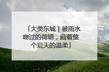 大美东城｜被雨水吻过的荷塘，藏着整个夏天的温柔