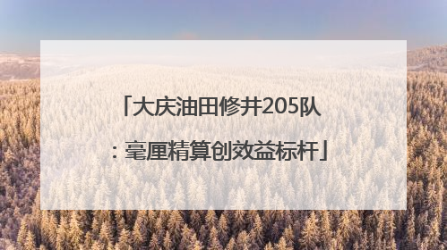 大庆油田修井205队：毫厘精算创效益标杆