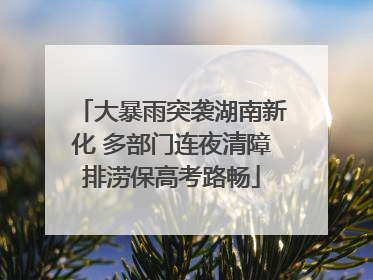 大暴雨突袭湖南新化 多部门连夜清障排涝保高考路畅