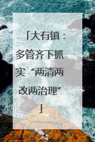 大有镇：多管齐下抓实“两清两改两治理”