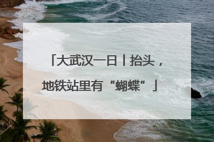 大武汉一日丨抬头，地铁站里有“蝴蝶”