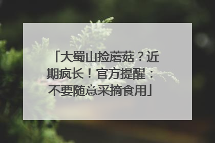 大蜀山捡蘑菇？近期疯长！官方提醒：不要随意采摘食用