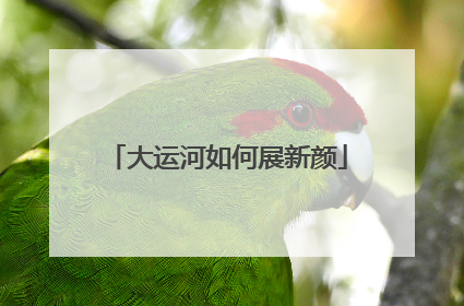 大运河如何展新颜