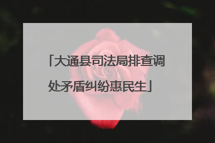 大通县司法局排查调处矛盾纠纷惠民生