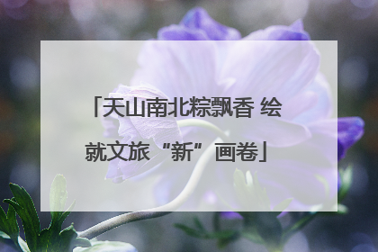 天山南北粽飘香 绘就文旅“新”画卷