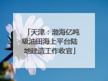 天津：渤海亿吨级油田海上平台陆地建造工作收官