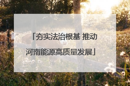 夯实法治根基 推动河南能源高质量发展