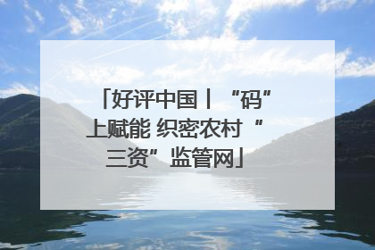 好评中国丨“码”上赋能 织密农村“三资”监管网