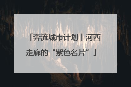 奔流城市计划丨河西走廊的“紫色名片”