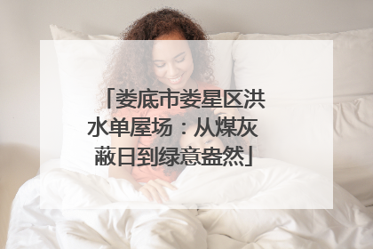 娄底市娄星区洪水单屋场：从煤灰蔽日到绿意盎然
