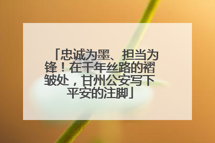忠诚为墨、担当为锋！在千年丝路的褶皱处，甘州公安写下平安的注脚
