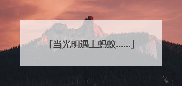 当光明遇上蚂蚁……
