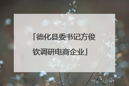 德化县委书记方俊钦调研电商企业