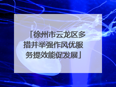 徐州市云龙区多措并举强作风优服务提效能促发展