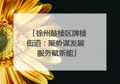 徐州鼓楼区牌楼街道：聚势谋发展 服务赋新能