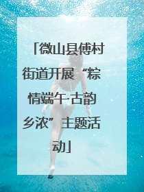 微山县傅村街道开展“粽情端午·古韵乡浓”主题活动