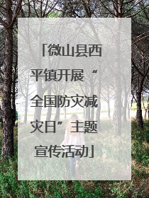 微山县西平镇开展“全国防灾减灾日”主题宣传活动