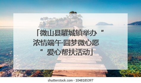 微山县驩城镇举办“浓情端午·圆梦微心愿”爱心帮扶活动