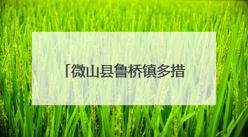 微山县鲁桥镇多措并举抓实 “三夏” 秸秆禁烧工作