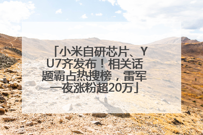 小米自研芯片、YU7齐发布！相关话题霸占热搜榜，雷军一夜涨粉超20万