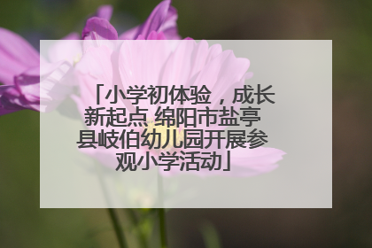 小学初体验，成长新起点 绵阳市盐亭县岐伯幼儿园开展参观小学活动
