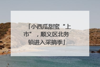 小西瓜甜蜜“上市”，顺义区北务镇进入采摘季