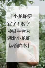 小龙虾便宜了！数字冷链平台为湖北小龙虾运输降本
