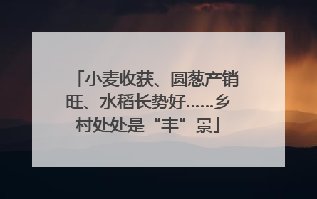 小麦收获、圆葱产销旺、水稻长势好……乡村处处是“丰”景