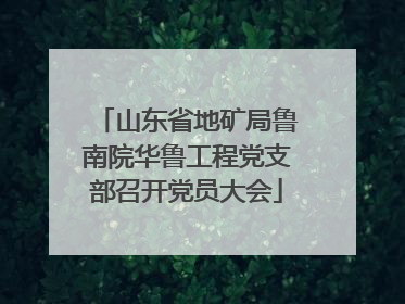 山东省地矿局鲁南院华鲁工程党支部召开党员大会