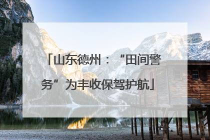 山东德州：“田间警务”为丰收保驾护航