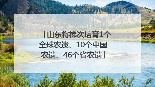 山东将梯次培育1个全球农遗、10个中国农遗、46个省农遗