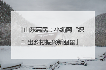 山东惠民：小绳网“织”出乡村振兴新图景